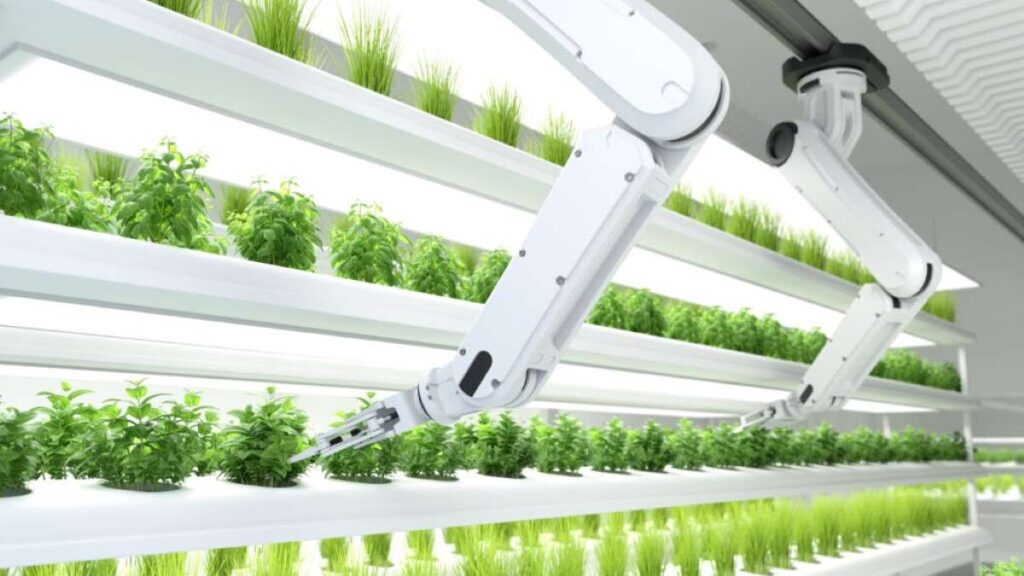 La integración de la inteligencia artificial y la robótica en la agricultura vertical revoluciona la producción de alimentos.